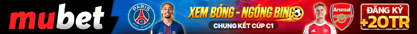 cashfish banner desktop 2