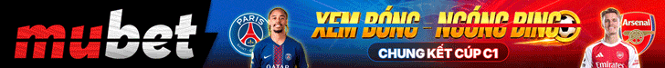 cashfish banner mobile 2