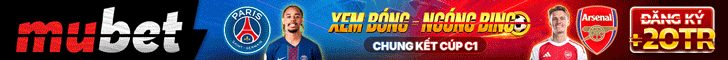 cashfish banner desktop 2